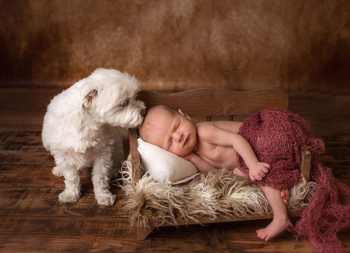 newbornfoto mit Hund