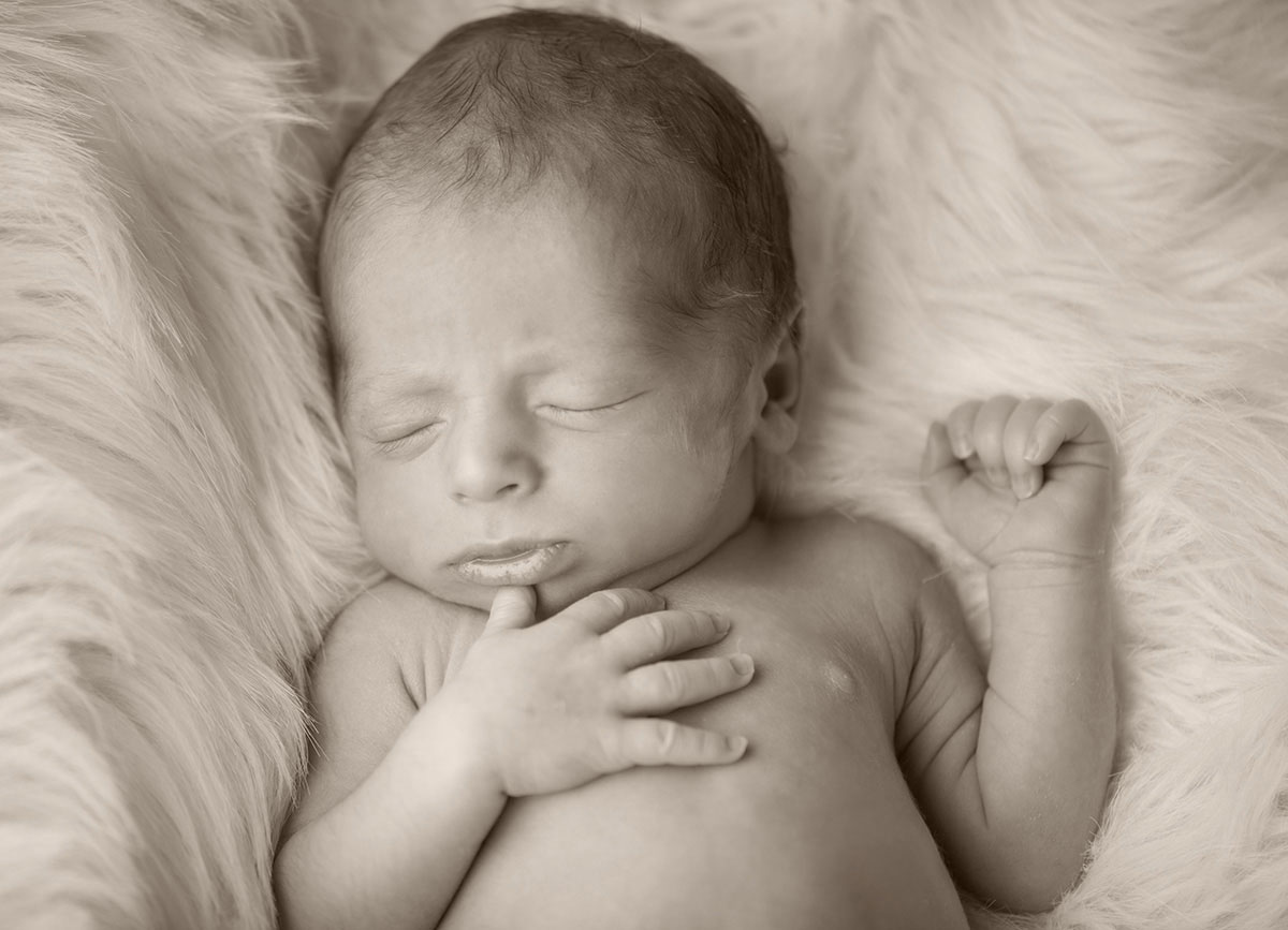 newbornfoto in sepia
